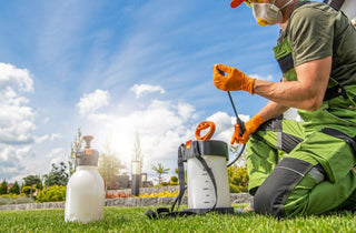 Seasonal Pest Control: How to Prepare Your Home for Each Season