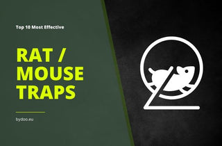 Top 10 Most Effective Mouse and Rat Traps for Your Home