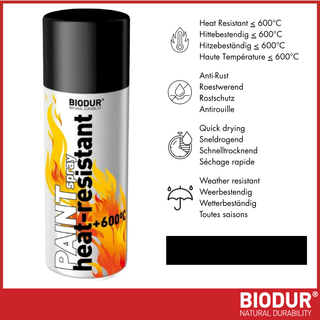 BIODUR Hitzebeständige Silikon-Sprühfarbe – 400 ml – Bis 600 °C – Rostschutz – Wetterbeständig – Innen/Außen