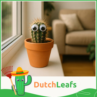 Cactus met Oog Mix - 5,5 cm
