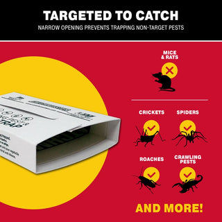 Catchmaster® kruipende ongedierte- en insectenlijmval