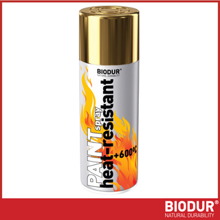 BIODUR Hitzebeständige Silikon-Sprühfarbe – 400 ml – Bis 600 °C – Rostschutz – Wetterbeständig – Innen/Außen