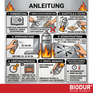 BIODUR Hitzebeständige Silikon-Sprühfarbe – 400 ml – Bis 600 °C – Rostschutz – Wetterbeständig – Innen/Außen