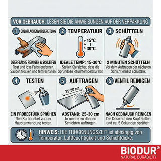 BIODUR High Temp Aluminium Zinc Aerosol Spray - 400ml - Anti Rust - Heat Resistant up to 350°C - Quick Dry - UV & Weather Resistant - Indoor/Outdoor