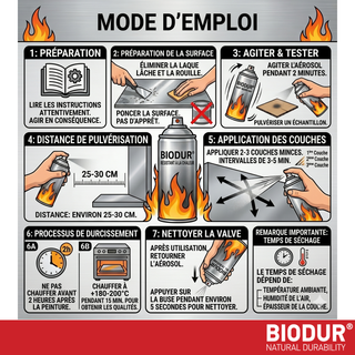 BIODUR Hitzebeständige Silikon-Sprühfarbe – 400 ml – Bis 600 °C – Rostschutz – Wetterbeständig – Innen/Außen