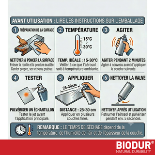BIODUR High Temp Aluminium Zinc Aerosol Spray - 400ml - Anti Rust - Heat Resistant up to 350°C - Quick Dry - UV & Weather Resistant - Indoor/Outdoor