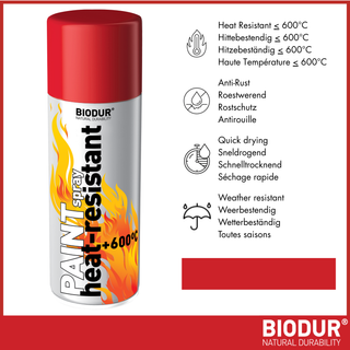 BIODUR Hitzebeständige Silikon-Sprühfarbe – 400 ml – Bis 600 °C – Rostschutz – Wetterbeständig – Innen/Außen