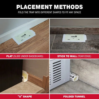 Catchmaster® Bulk Mouse & Insect Glue Boards