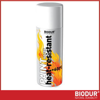 BIODUR Hitzebeständige Silikon-Sprühfarbe – 400 ml – Bis 600 °C – Rostschutz – Wetterbeständig – Innen/Außen