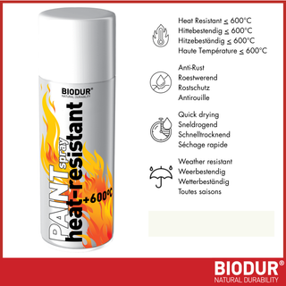 BIODUR Hitzebeständige Silikon-Sprühfarbe – 400 ml – Bis 600 °C – Rostschutz – Wetterbeständig – Innen/Außen