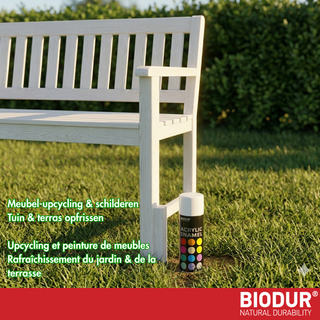 BIODUR - Universal Acrylic Enamel Paint - Aerosol Spray Can - High Gloss - 400 ml - UV and Weather Resistant - Quick-Dry Spray Paint - Indoor/Outdoor