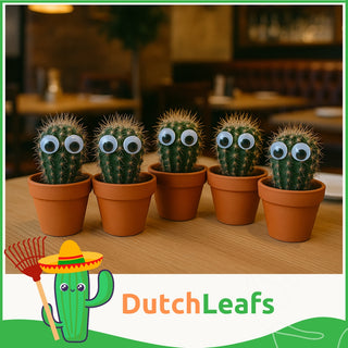 Cactus met Oog Mix - 5,5 cm