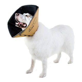 Comfy Cone Extra Groot Bruin 30cm