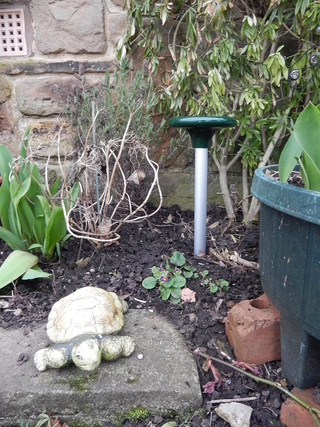 Pest-Stop Solar-powered Mole Repeller