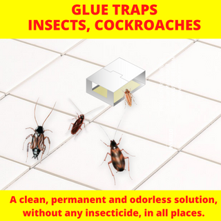 Weitech Cockroach Glue Trap - 9pcs per box