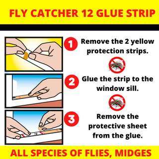 Weitech Fly Catcher - 12 lijmstrips per doos