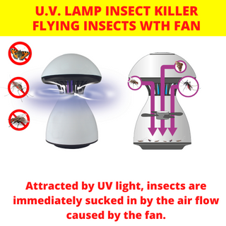 Weitech Insektenvernichter mit Ventilator 1