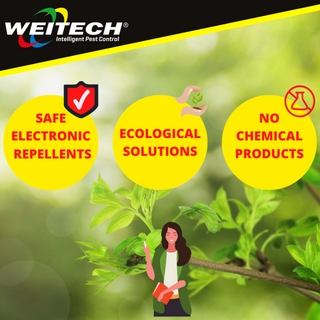 Weitech Insect Killer With Fan 1