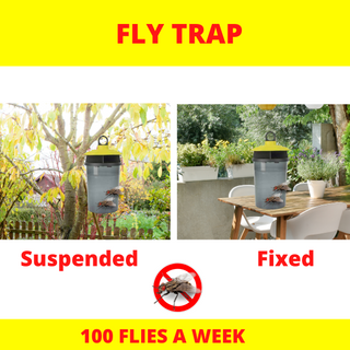 Weitech Fly Trap