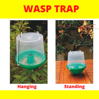 Weitech Wasp and Hornet Trap