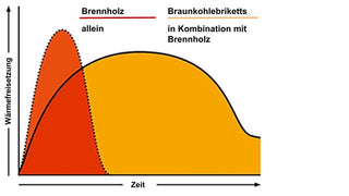 REKORD Braunkohlebriketts - Palette - 40 x 25 kg - 1000kg