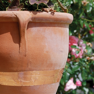 Defenders Slugs Away® afzetlint Natuurlijk afschrikmiddel voor naaktslakken en slakken - 4m 