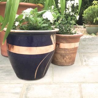 Defenders Slugs Away® afzetlint Natuurlijk afschrikmiddel voor naaktslakken en slakken - 4m 