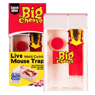 The Big Cheese Live Multi-Catch Mouse Trap - Baited, Ready to Use & Humane