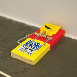 The Big Cheese Fresh Baited Mouse Trap - Reusable Effective Snap Trap