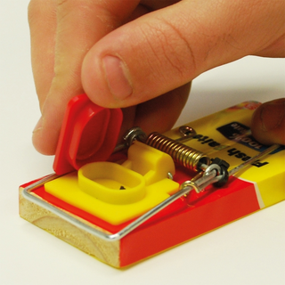 The Big Cheese Fresh Baited Mouse Trap - Reusable Effective Snap Trap