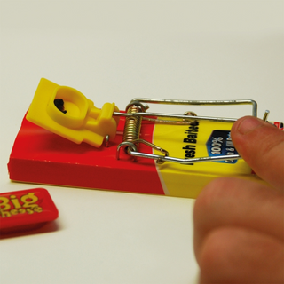 The Big Cheese Fresh Baited Mouse Trap - Reusable Effective Snap Trap