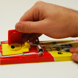 The Big Cheese Fresh Baited Rat Trap - Traditional Baited Rodent Pest Trap 1 pc