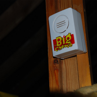 The Big Cheese Snap Trap Alert - Battery-Operated, Audio-Visual Catch Indicator 1 pc