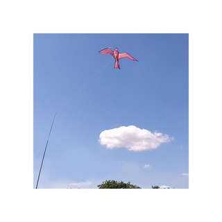 The Big Cheese Hawk Kite - Humane Effective Bird Scarer for Buildings & Gardens